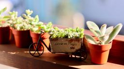 突然見つかった胃がん。知識がないまま臨んだ手術、15kgの体重減から抗がん剤治療を経て