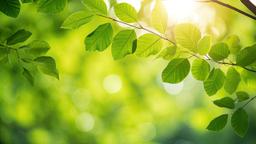 手術そして抗がん剤治療へ。今振り返って思うこと【20代でスタートした治療生活と完治まで・後編】