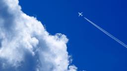 61歳、自分の気持ちに正直に生きる ~定年目前の決断~