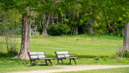 盲腸がん発覚時の思い、治療について 〜生きていればがんのひとつやふたつはある〜